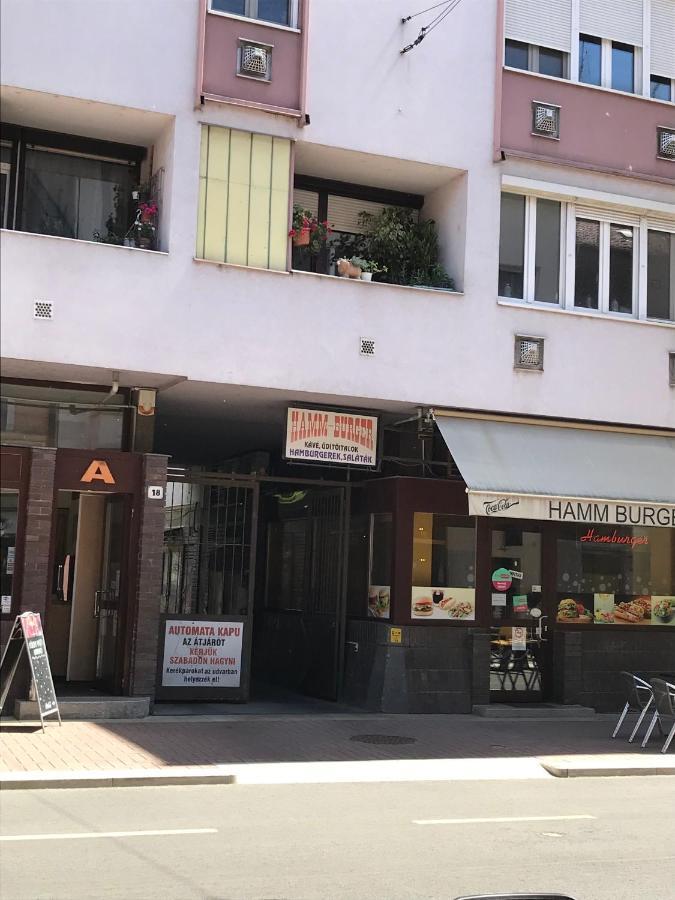 Dom Square-Centrum-Free Parking Apartment Szeged Ngoại thất bức ảnh