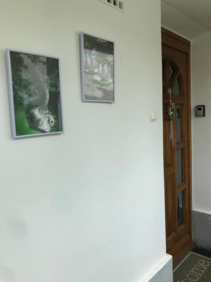 Dom Square-Centrum-Free Parking Apartment Szeged Ngoại thất bức ảnh